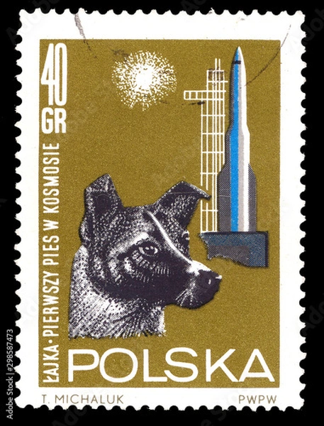 Obraz A stamp printed in Poland shows first Living being in space - dog Laika from Soviet Union (USSR),