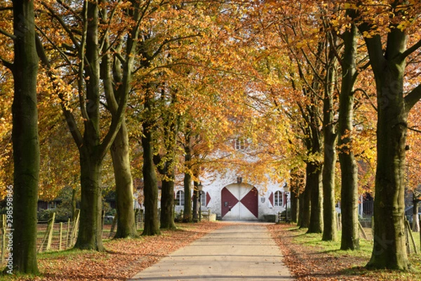 Obraz Zufahrt zum Gut Heimendahl in Kempen