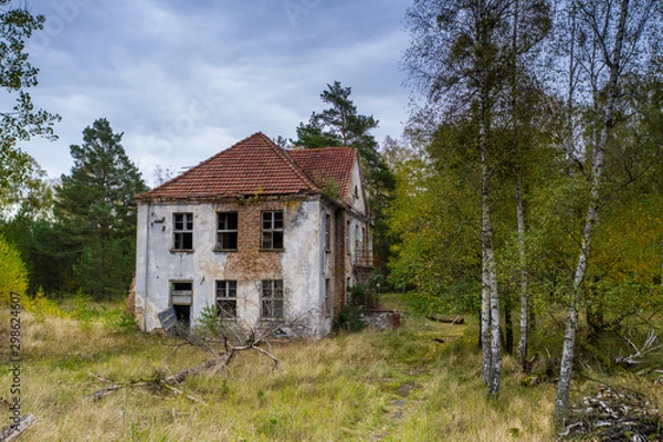 Obraz Alte verfallene Villa im Wald