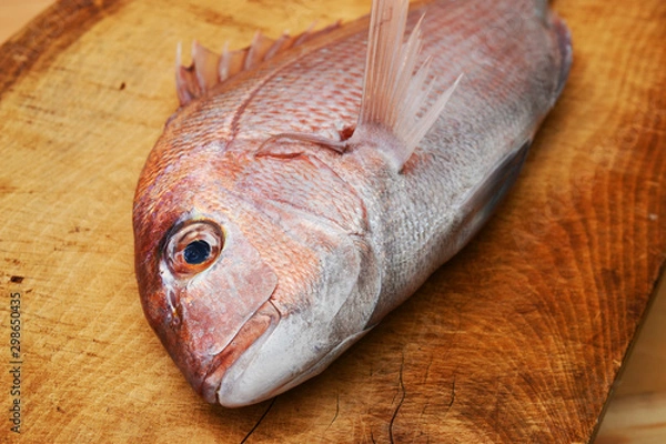 Obraz 美味い真鯛活け造り