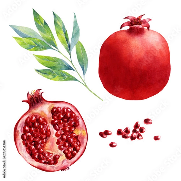 Fototapeta watercolor fruit pomegranate on white background