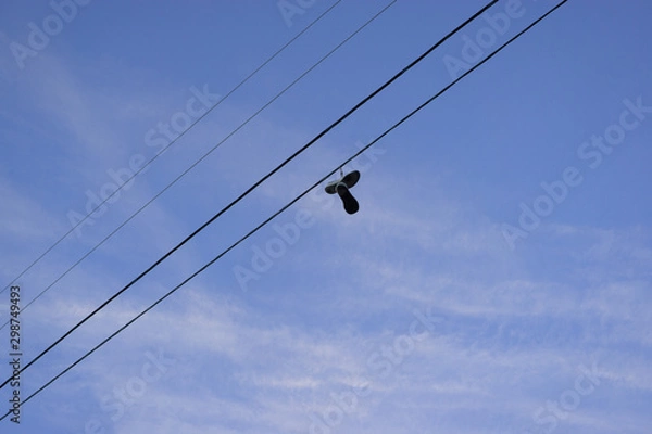 Fototapeta シューフィティ