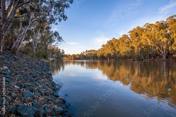 Obraz Murray river flowing among natvie Australian bush at sunset