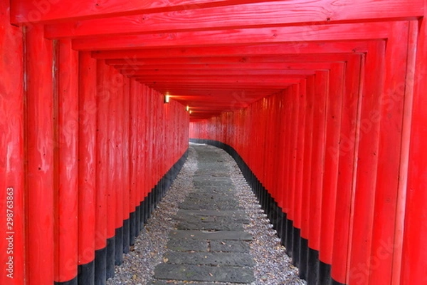 Fototapeta 不思議な空間の鳥居トンネル