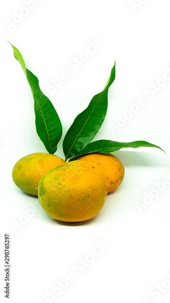 Fototapeta Three small fresh mangoes with leaves on closeup with white background