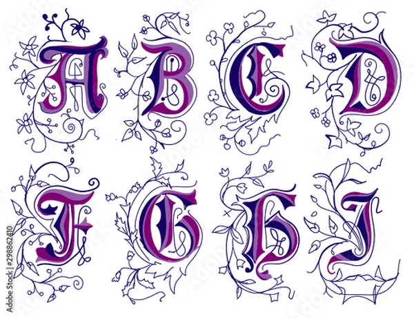 Obraz Vector illustration