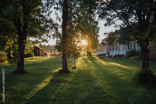Fototapeta Sunny courtyard, trees, beautiful house, lawn and doghouse, summer evening in Multia, Finland