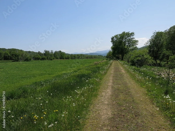 Fototapeta 初夏の根室本線旧線跡（北海道新得町）