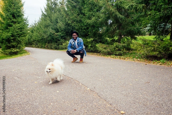 Fototapeta african american man walking in street with his fluffy spitz,teaching education dog teams