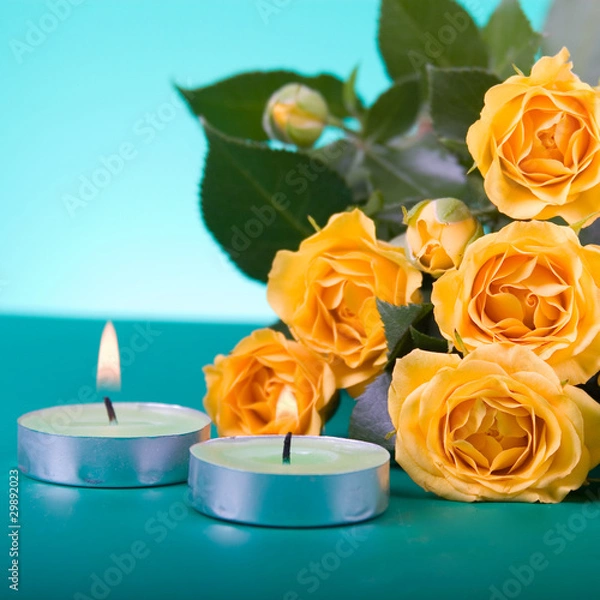 Obraz Beautiful yellow roses