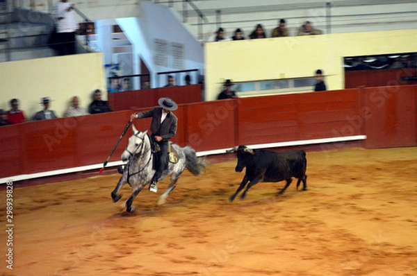 Obraz bullfighting, korrida, horse, Spain
