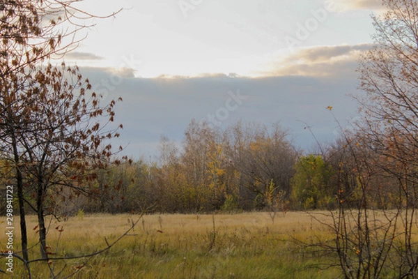 Fototapeta Осень