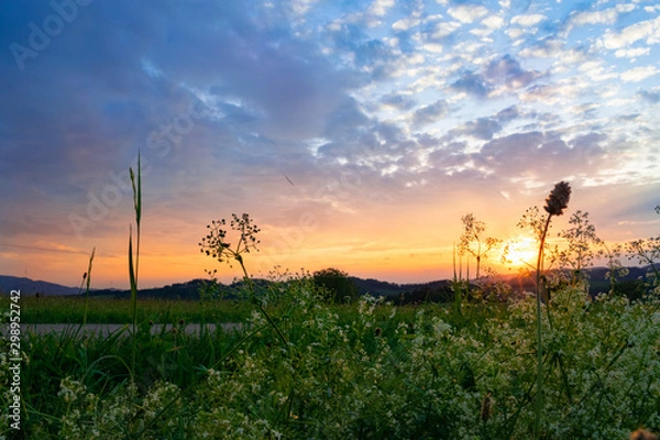 Obraz Sonnenuntergang im Schwarzwald