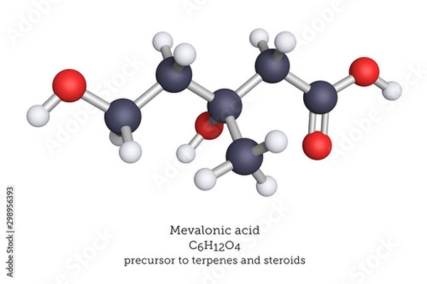 Fototapeta Mevalonic acid molecular model. Mevalonic acid Mevalonic acid is a precursor in the biosynthetic pathway that produces terpenes and steroids.