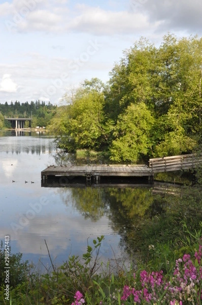 Obraz Ducks on a Dock