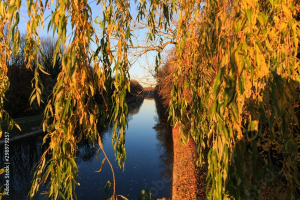 Obraz autumn in the park