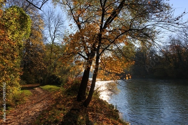 Obraz autumn in the park