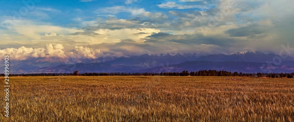 Fototapeta Panorama of a mountain valley. Fairy dawn in the foreground of farmland, rolling hills