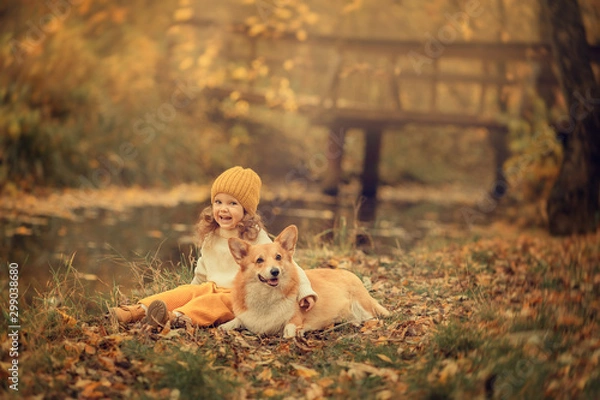 Obraz smiling girl embracing corgi dog in the park at fall time