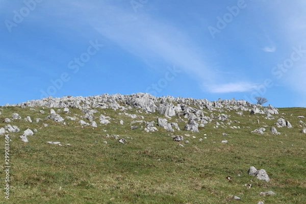 Fototapeta 天空の高原　四国カルスト