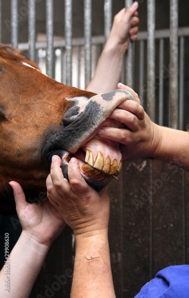 Obraz Zahnbehandlung