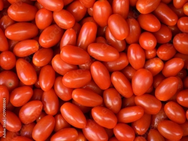 Obraz Tomate roma o tomates pera.