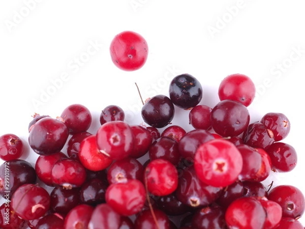Fototapeta cranberries on a white background