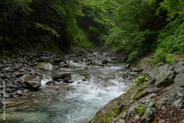 Fototapeta 西沢渓谷のハイキング