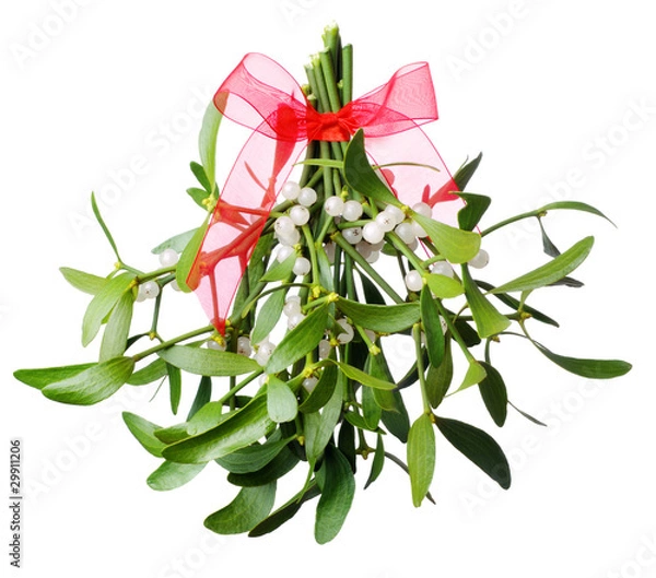 Obraz Hanging green mistletoe with a red bow