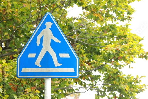 Obraz 横断歩道の看板