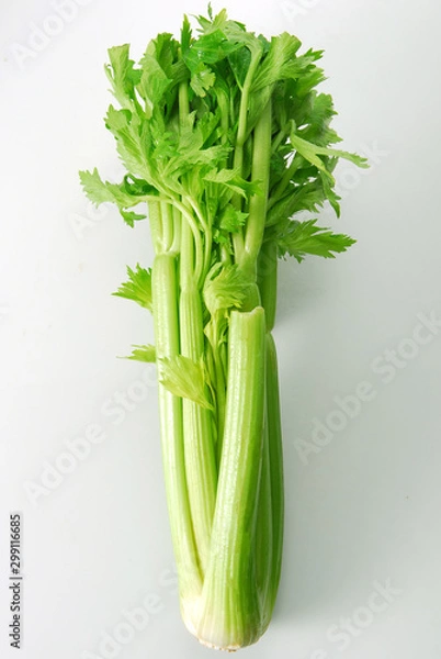 Obraz celery