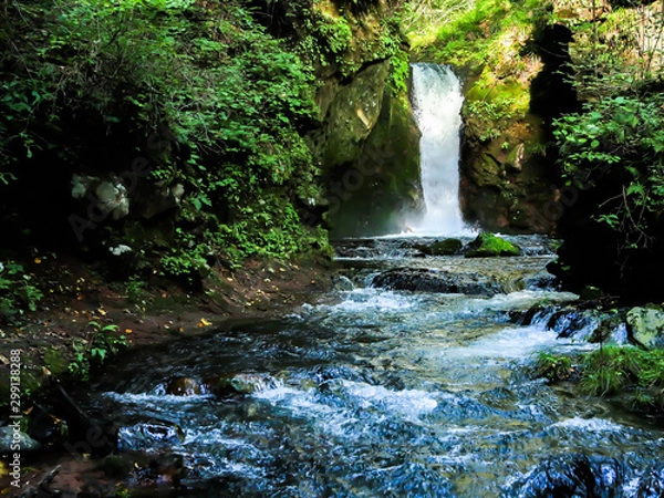 Obraz 竜返しの滝