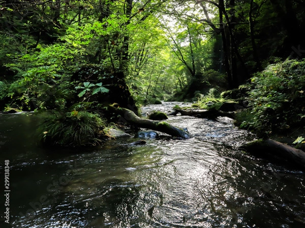 Obraz 軽井沢の山川