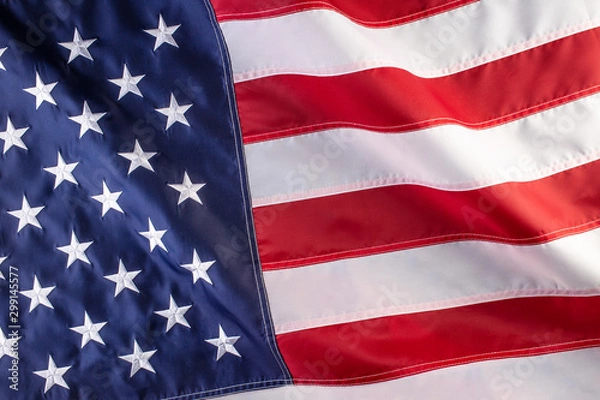 Obraz Usa falg
