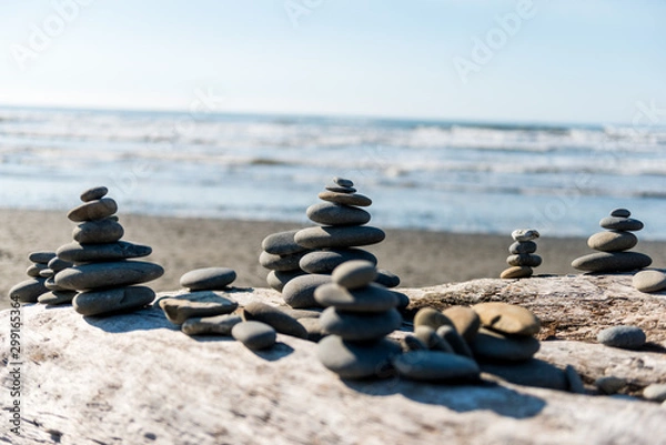 Obraz Pacific Northwest 