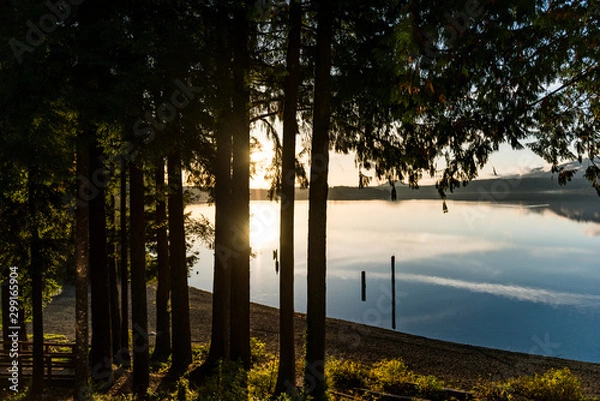 Obraz Pacific Northwest 