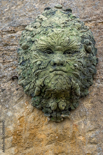 Obraz Green Man Face