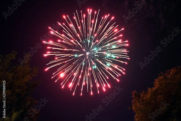 Obraz Fireworks pyrotechnics