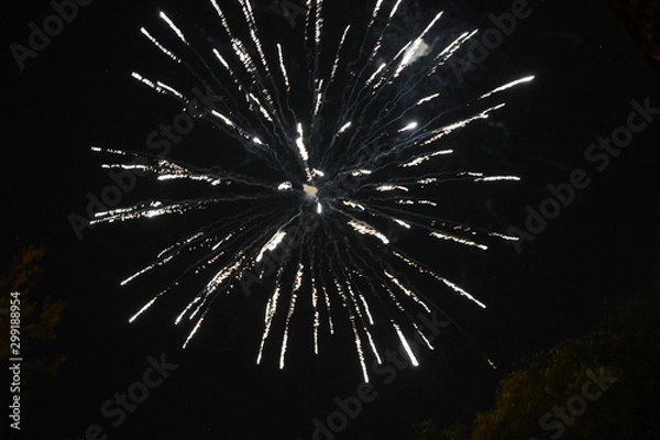 Obraz Fireworks pyrotechnics