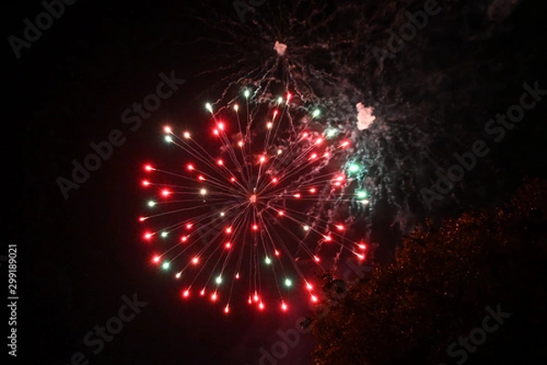 Obraz Fireworks pyrotechnics