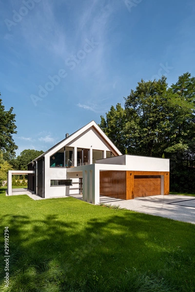 Obraz Modern house with garden
