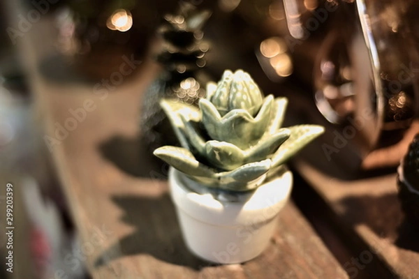 Obraz ceramic cactus 