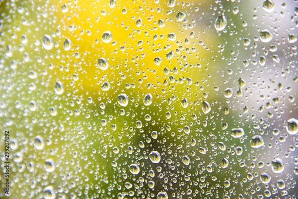 Fototapeta Rain drops on autumn window after a heavy rain. Sunny day