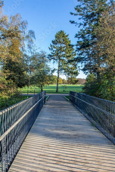 Obraz wooden bridge in park