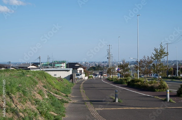 Fototapeta 海の見える丘