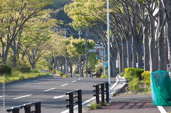 Obraz 街路樹のある通り