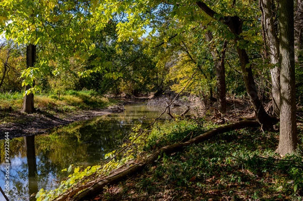 Fototapeta Riverside in Fall