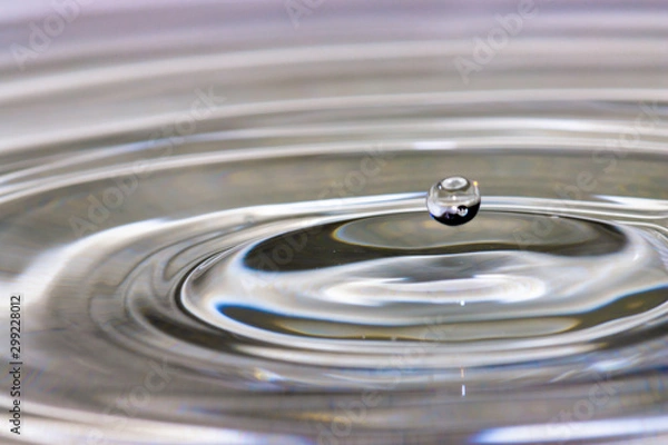 Fototapeta water drop