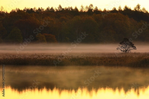 Fototapeta 紅葉の御在所沼