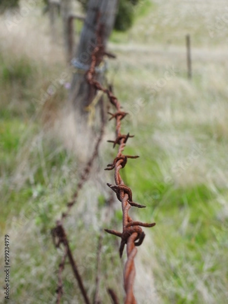 Obraz rusted barbed wire